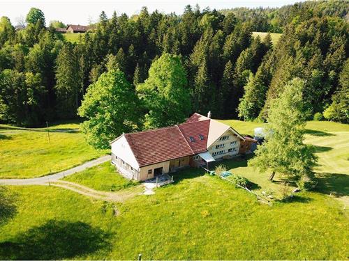 Holiday Home/Apartment - 2 persons -  - Vordere Au - 9103 - Schwellbrunn