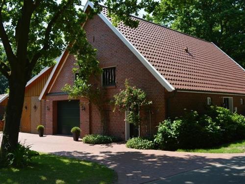 Feriehus / leilighet - 4 personer -  - Holthaus - 49699 - Lindern (Oldenburg)