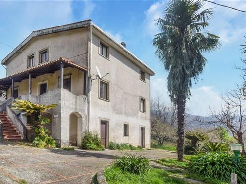 Sommerhus - 6 personer -  - Loc.San Pietro - Cetraro - 87022 - Cetraro - San Pietro