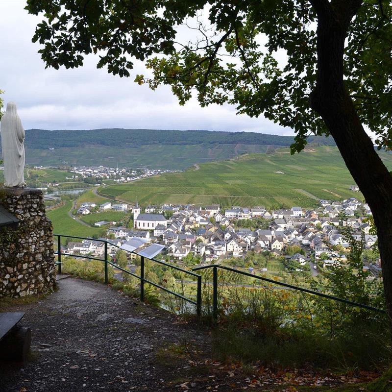 Ferielejlighed - 3 personer -  - Moselweinstr. - 54518 - Minheim