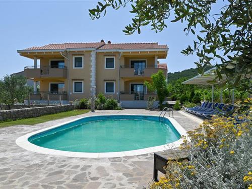 Sommerhus - 16 personer -  - Stanovac bb - Pasman-Pasman - 23262 - Pasman