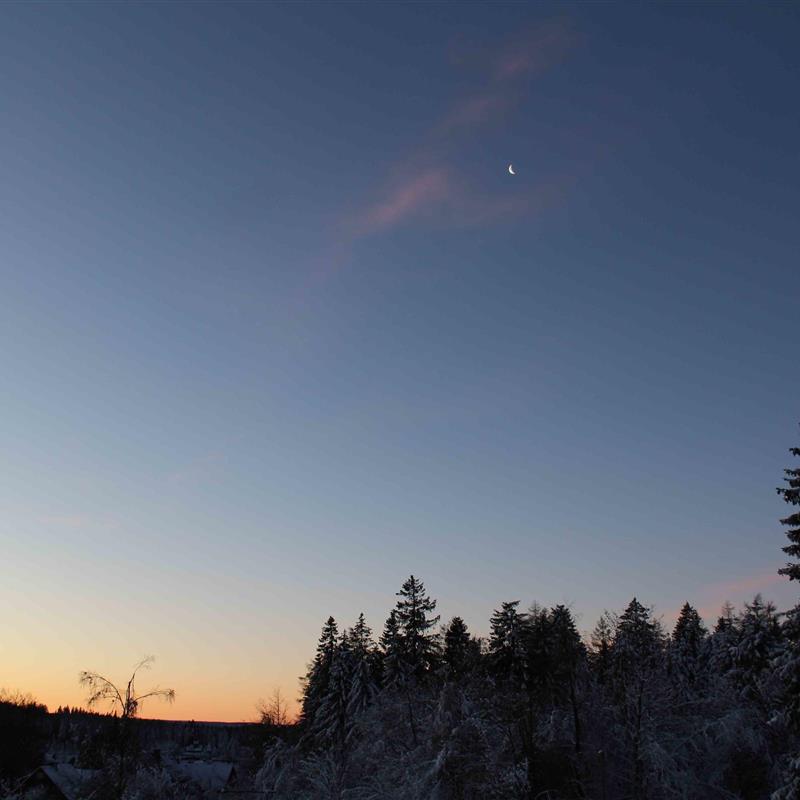 Ferielejlighed - 4 personer -  - Am Hahnenkleer Berg - 38644 - Goslar