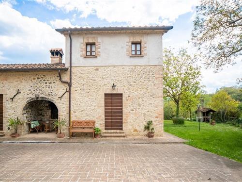 Holiday Home/Apartment - 3 persons -  - 06012 - Città Di Castello