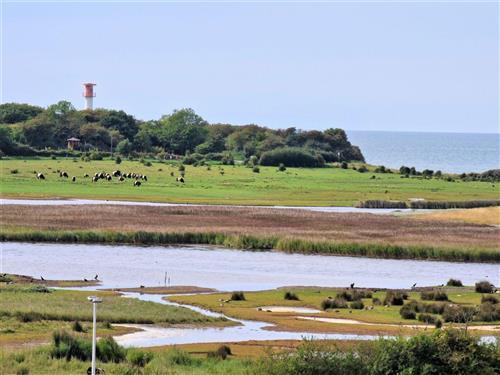 Ferielejlighed - 3 personer -  - Ostseeferienpark - 23774 - Heiligenhafen