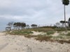 Billede 28