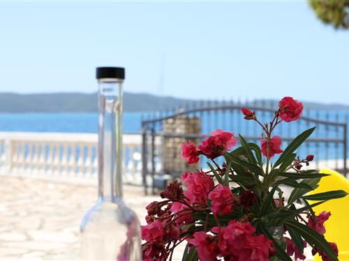 Holiday apartment - 2 persons -  - Brodarica - 22000 - Brodarica