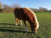 Bild 22