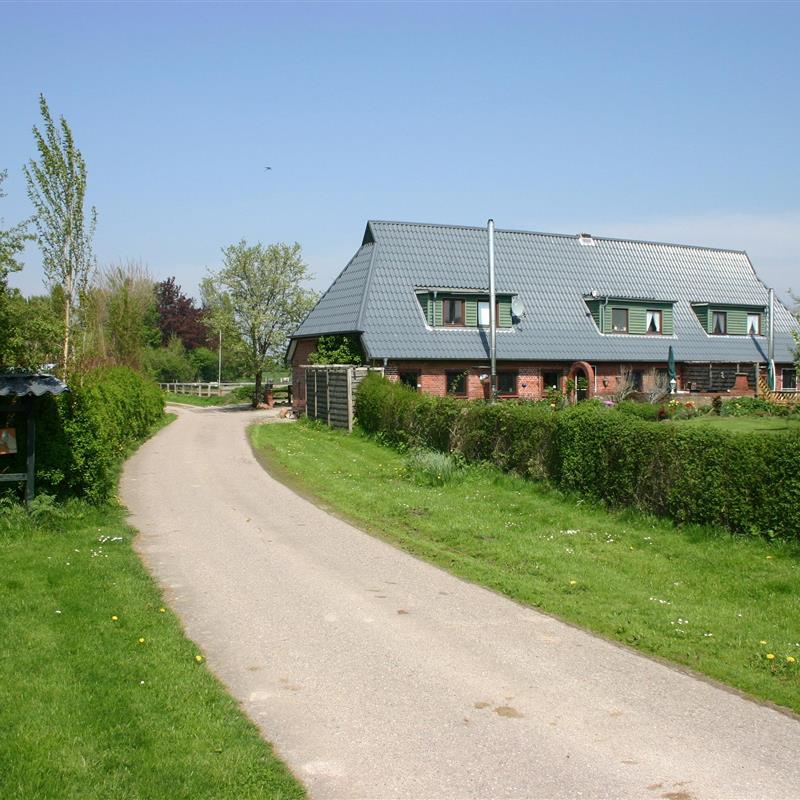 Ferielejlighed - 4 personer -  - Vogelsangholz - 24409 - Stoltebüll