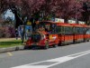 Billede 10