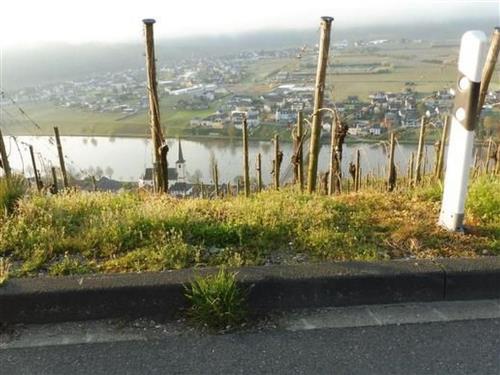 Ferienhaus - 12 Personen -  - Neumagen-Drohn - 54347