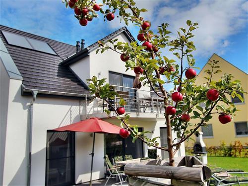 Semesterlägenhet - 7 personer -  - An der Pferdekoppel - 17213 - Göhren-Lebbin