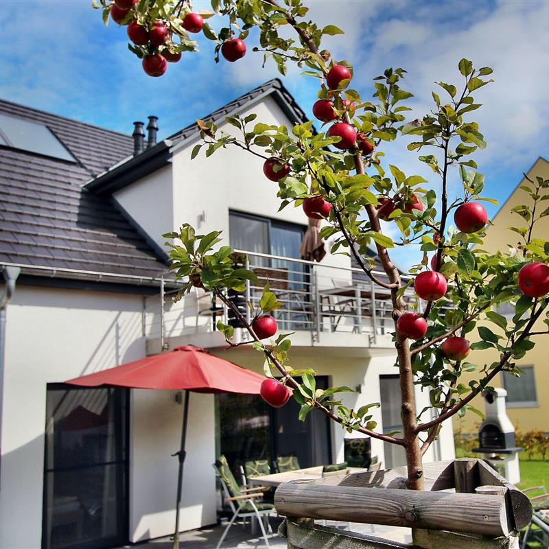 Ferielejlighed - 7 personer -  - An der Pferdekoppel - 17213 - Göhren-Lebbin