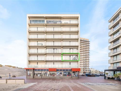 Ferielejlighed - 5 personer -  - 8670 - Oostduinkerke