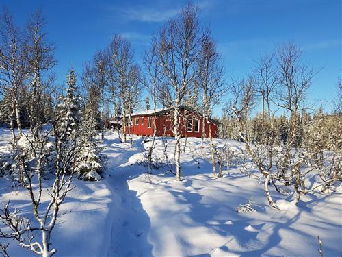 Sommerhus - 5 personer -  - Rømåsen - 2612 - Sjusjøen