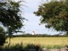 Bilde 6