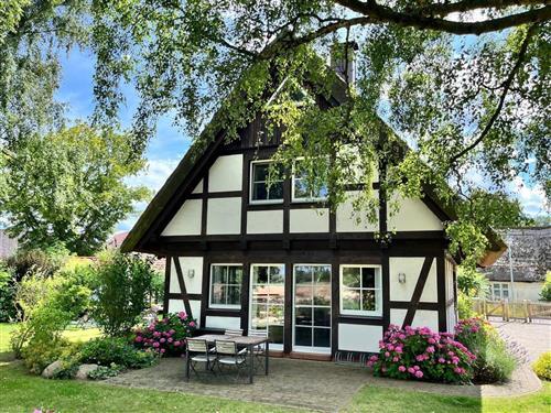 Holiday Home/Apartment - 9 persons -  - Poststraße - 17406 - Rankwitz