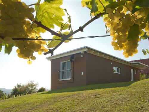 Fritidshus - 5 personer -  - 8350 - Fehring