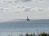 Billede 34