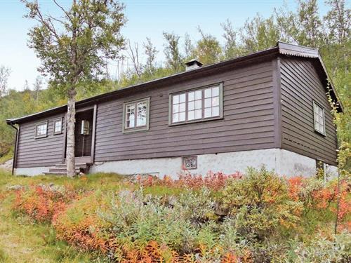 Sommerhus - 7 personer -  - Haugastølvegen - Haugastøl/Hallingskarvet - 3595 - Haugastøl