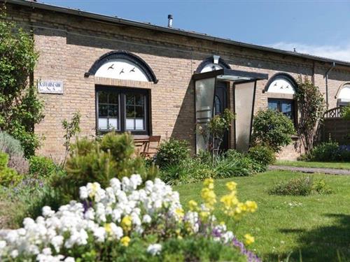 Ferieleilighet - 2 personer -  - Katharinenhof - 23769 - Fehmarn Ot Katharinenhof