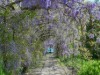 Image 23