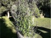 Billede 4