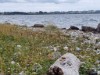 Image 30 - View of water