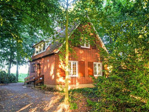 Holiday Home/Apartment - 5 persons -  - Süderbusch - 21789 - Wingst