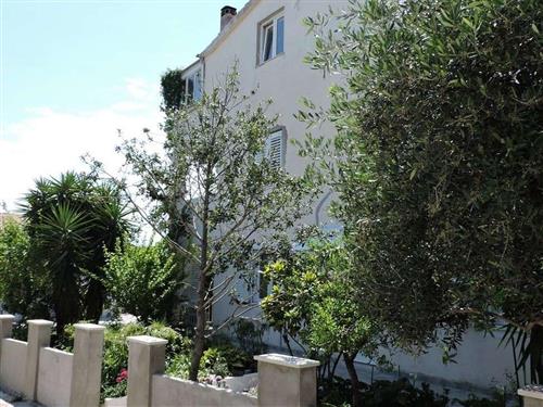 Holiday apartment - 4 persons -  - Ul. Keršina - 20250 - Orebic