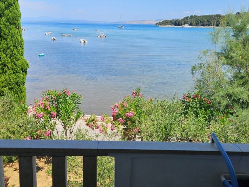 Ferienwohnung - 4 Personen -  - Lopar - Rab-Lopar - 51281 - Lopar
