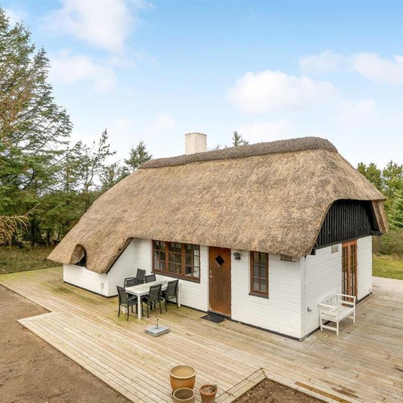 Ferienhaus - 5 Personen -  - Tranebærvej - Lodbjerg Hede - 6950 - Ringköbing