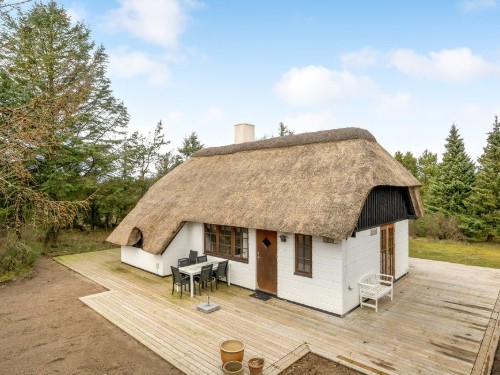 Sommerhus - 5 personer -  - Tranebærvej - Lodbjerg Hede - 6950 - Ringkøbing
