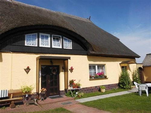 Ferielejlighed - 2 personer -  - Dorfstraße - 17459 - Loddin