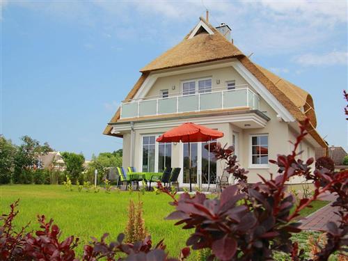 Ferienhaus - 7 Personen -  - Niehäger Str. - 18347 - Ahrenshoop