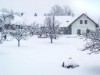 Bild 43 - Ude