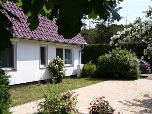 Ferielejlighed - 2 personer -  - Chausseestraße - 18347 - Dierhagen