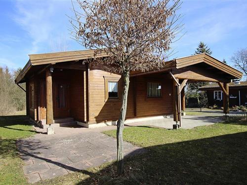 Feriehus - 4 personer -  - 38899 - Hasselfelde