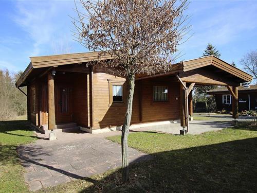 Feriehus - 4 personer -  - 38899 - Hasselfelde