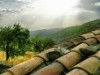 Billede 8