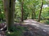 Bild 26