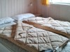 Bilde 5