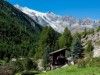 Bild 21