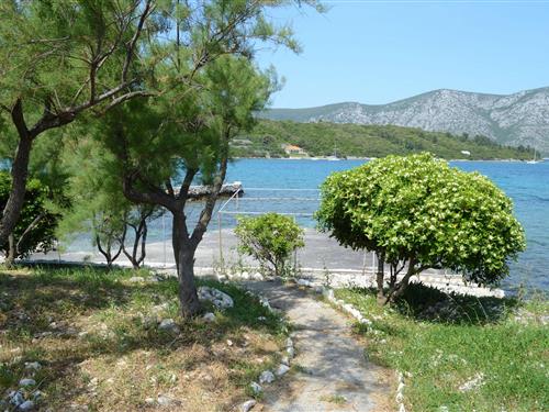 Holiday apartment - 4 persons -  - Kneze - Korcula-Kneze - 20264 - Racisce