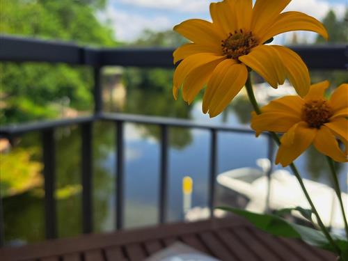 Ferielejlighed - 4 personer -  - Grillendamm - 14776 - Brandenburg An Der Havel