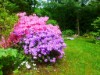 Bilde 3