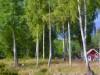 Bilde 46 - Ude