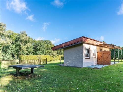 Ferieleilighet - 3 personer -  - Lubkow - 18528 - Bergen Auf Rügen / Lubkow