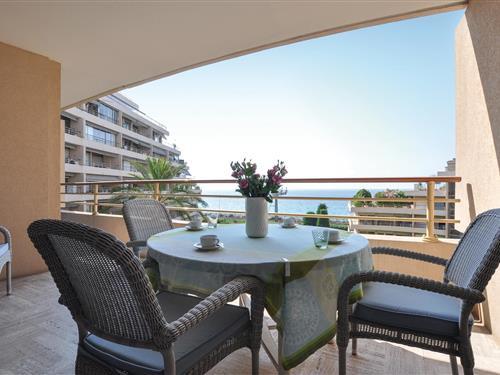 Feriehus / leilighet - 4 personer -  - Avenue Francis Tonner - Cannes-La-Bocca - 06150 - Cannes La Bocca