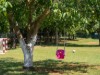 Image 13