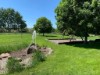 Billede 11
